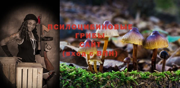 jwh Новозыбков