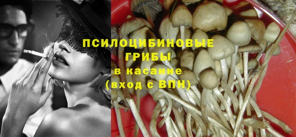 стаф Нея