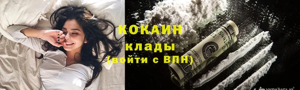 стаф Нея