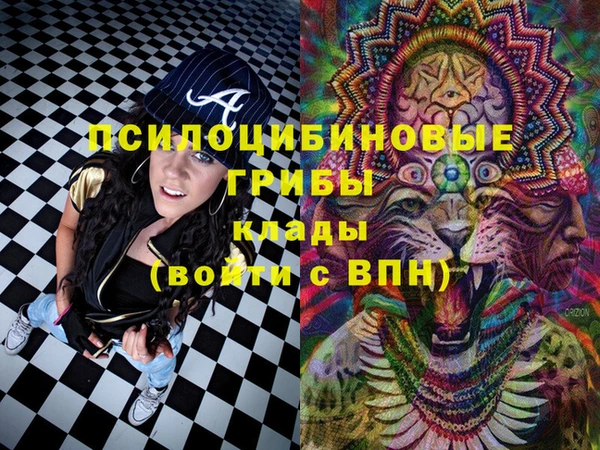 стаф Нея