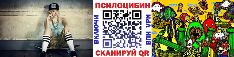 закладка  Лихославль  Галлюциногенные грибы Psilocybine cubensis 