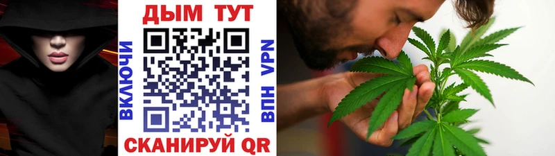 Канабис сатива  Лихославль 